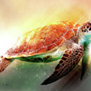 Andaman Sea Turtle Poster