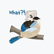 Angry Kookaburra Asking What? Funny Design By Lozsart Poster