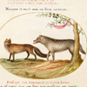 Animalia Qvadrvpedia Et Reptilia, Plate Xxvi Poster