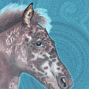 Appaloosa Horse Portrait Poster