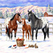 Appaloosa Horses In Winter Ranch Corral Poster