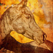 Arabian Horse Portrait Blended On Old Paper Poster