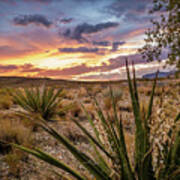 Arizona Desert Sunset Poster