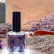 Aromatherapy Perfume Bottle And Lavender Flowers Poster