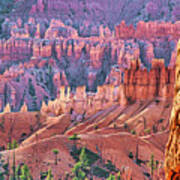 Artistic Nature Bryce Canyon Utah Poster