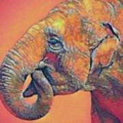 Asian Elephant Face 2 Digital Artwork Poster