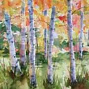 Aspen Trees Poster