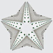 Asteroidia Cupola -  Wisconsin Barn Cupola Starfish Creation Poster