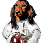 Astronaut Dachshund Dog Poster
