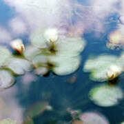 At Claude Monet's Water Garden 4 Poster