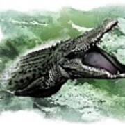 Australian Saltwater Crocodile Poster
