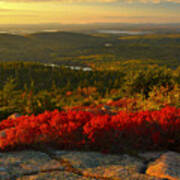 Autumn Acadia Sunset Poster