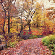 Autumn Azalea Garden Poster