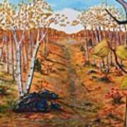 Autumn Birches Poster