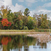 Autumn Blue Heron Poster