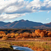 Autumn Bosque Del Apache Poster