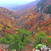 Autumn Colors Panorama Poster