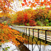 Autumn Foliage Colors Over Footbridge Poster