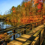 Autumn Glory At Bays Mountain Poster