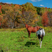Autumn Horses Poster