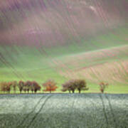 Autumn In South Moravia 1 Poster