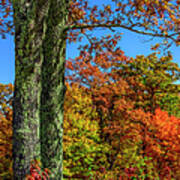 Autumn In The Blue Ridge Mountains Poster