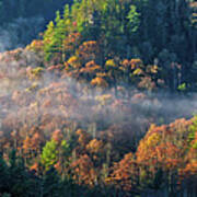 Autumn Morning Mist Poster
