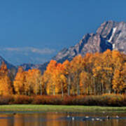 Autumn Oxbow Bend Grand Tetons National Park Wyoming Poster