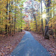 Autumn Road In New Jersey Poster