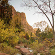 Autumn Sunset In Zion Poster