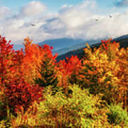 Autumn The Scenic Route View Panorama Poster