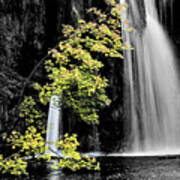 Autumn Tree And Waterfall Poster