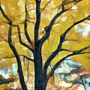 Autumn Tree At The Edge Of The Pond Abstract Painting Poster
