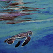 Baby Sea Turtle Poster