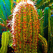 Backlit Cactus Poster