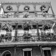 Balcony With Hanging Plants In The New Orleans French Quarter Louisiana Black And Whtie Poster