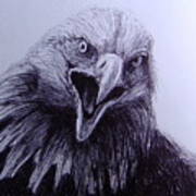 Bald Eagle Sketch Poster