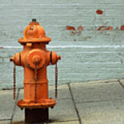 Baltimore Fire Hydrant Poster