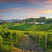 Barbaresco Village And Langhe Vineyards, Piedmont, Italy Poster