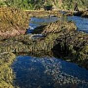 Batemans Bay Coastline 2, Nsw, Australia Poster