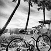 Beach Bike In The Morning Glories Black And White Poster