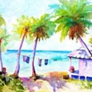 Beach House Tropical Paradise Poster