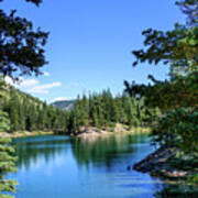 Bear Lake Through The Pines - Colorado Poster