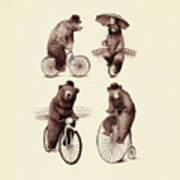 Bears On Bicycles Poster