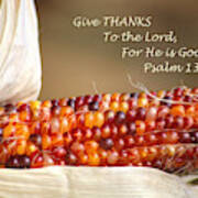 Beautiful Indian Corn With Scripture Poster