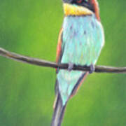 Bee-eater Poster