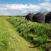 Beehive Huts On Valentia Island Poster