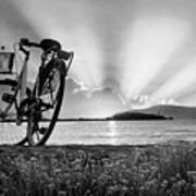 Bicycle At The Shore Black And White Poster