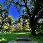 Bidwell Park Bench, Chico, California Poster