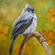 Big-eyed Tufted Titmouse Poster